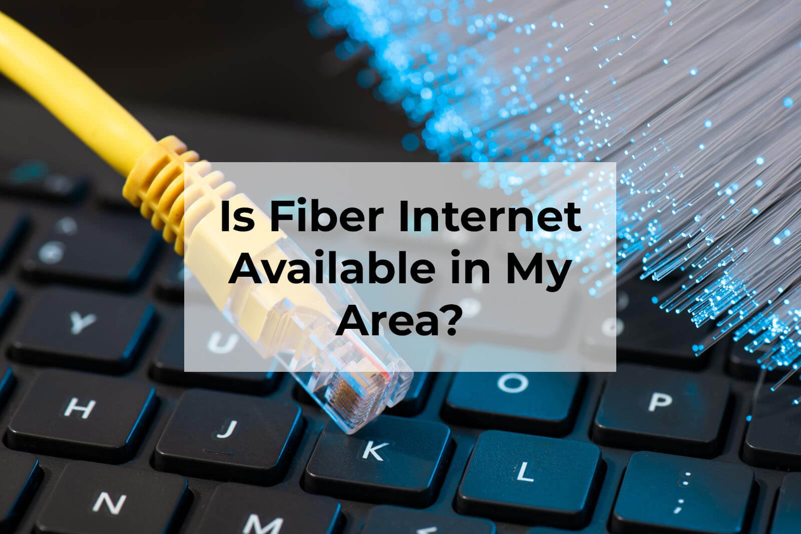 Is Fiber Internet Available in My Area?