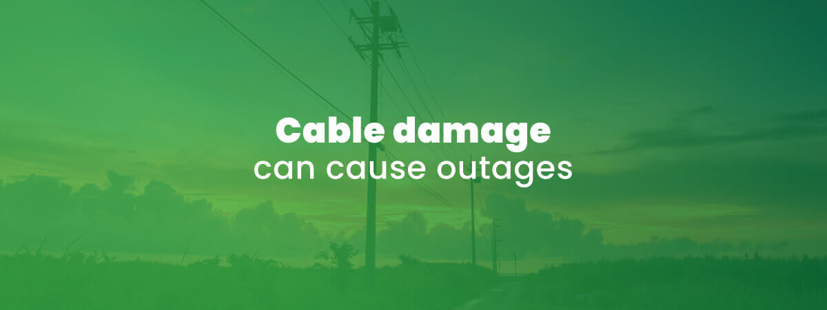 photo of telephone poles with cable wiring at twilight showing how cable damage can cause outages