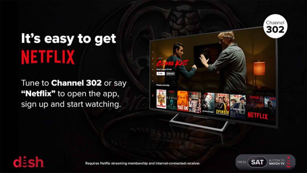 Tune to channel 302 or say "Netflix" to open the app, sign up and start watching