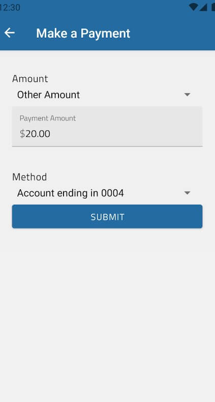 Metronet app screenshot to make payments