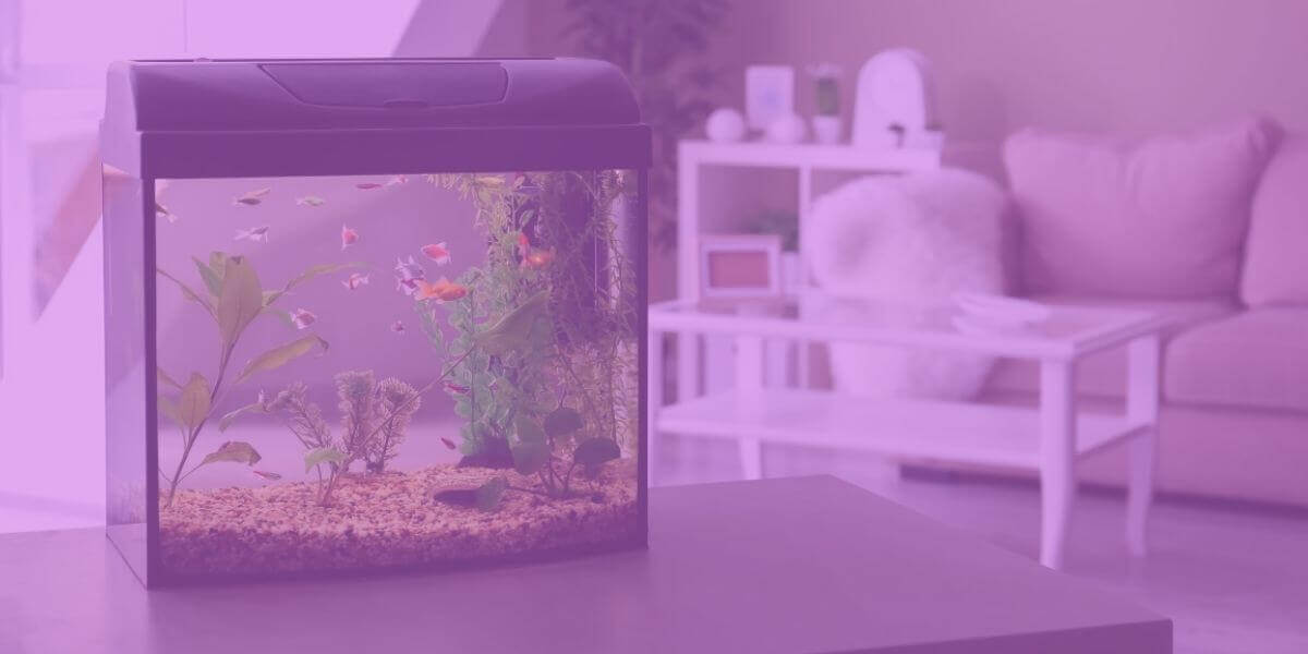 Water such as this home aquarium can block Wi-Fi signals