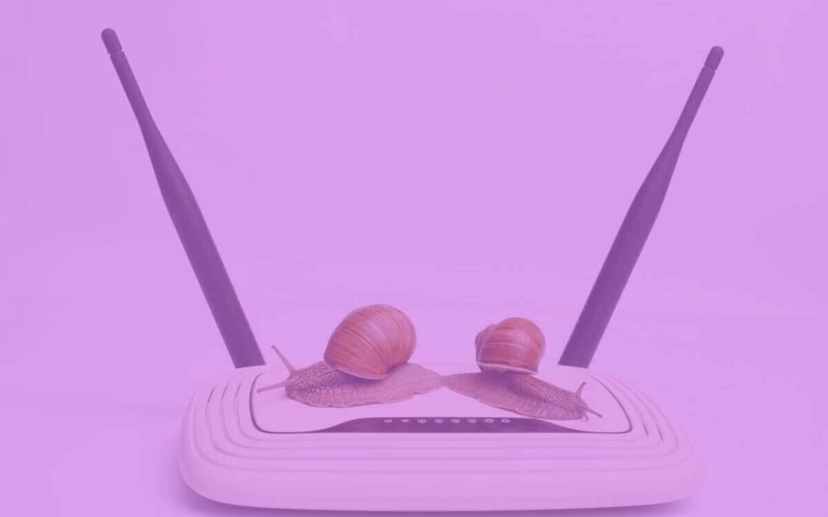 Dos caracoles se arrastran sobre un router lento para mostrar la baja velocidad de Internet
