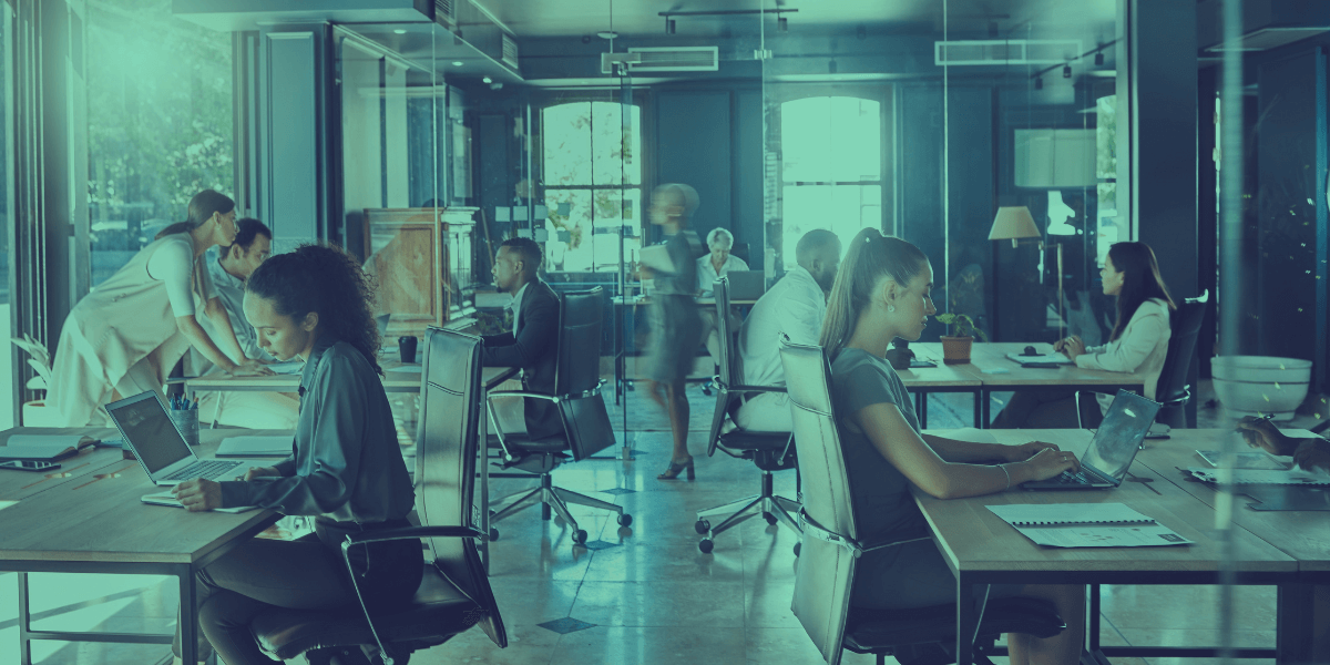 People working in an office on their computers