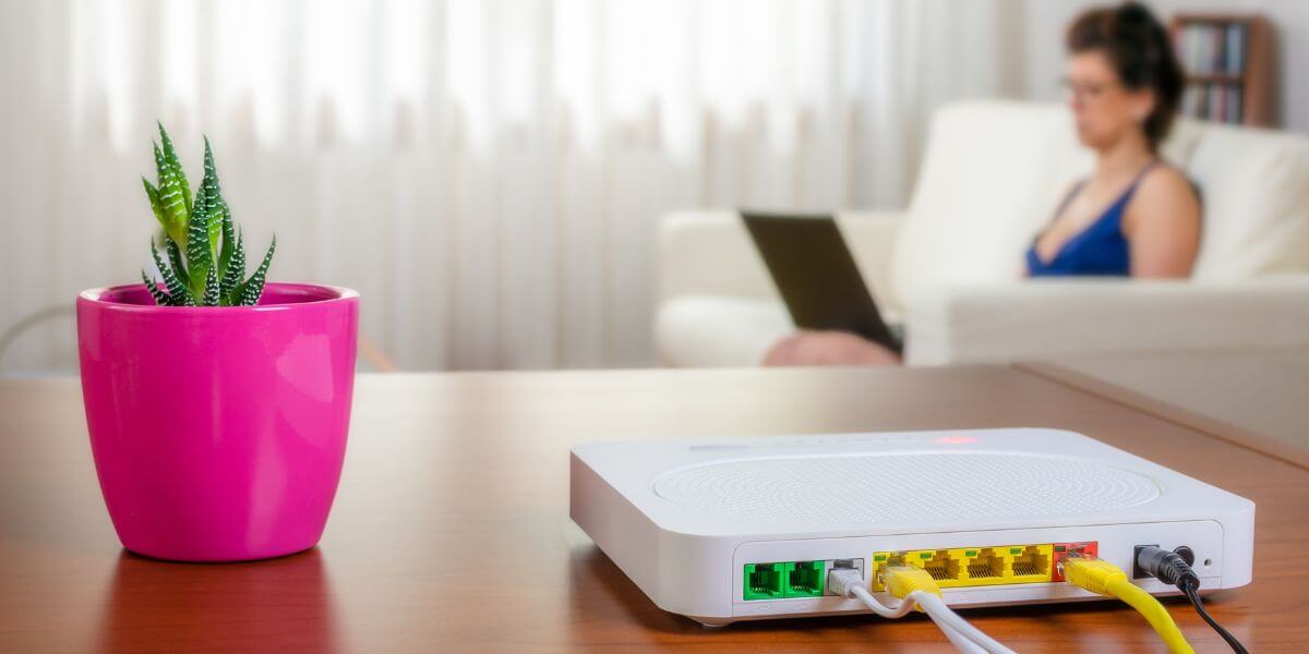 router on table next to pink potted plant and woman in background