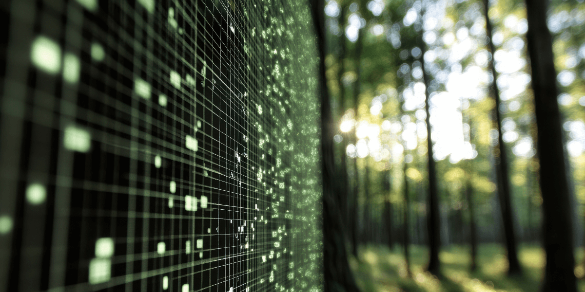 digital grid next to a forest to signify internet impact