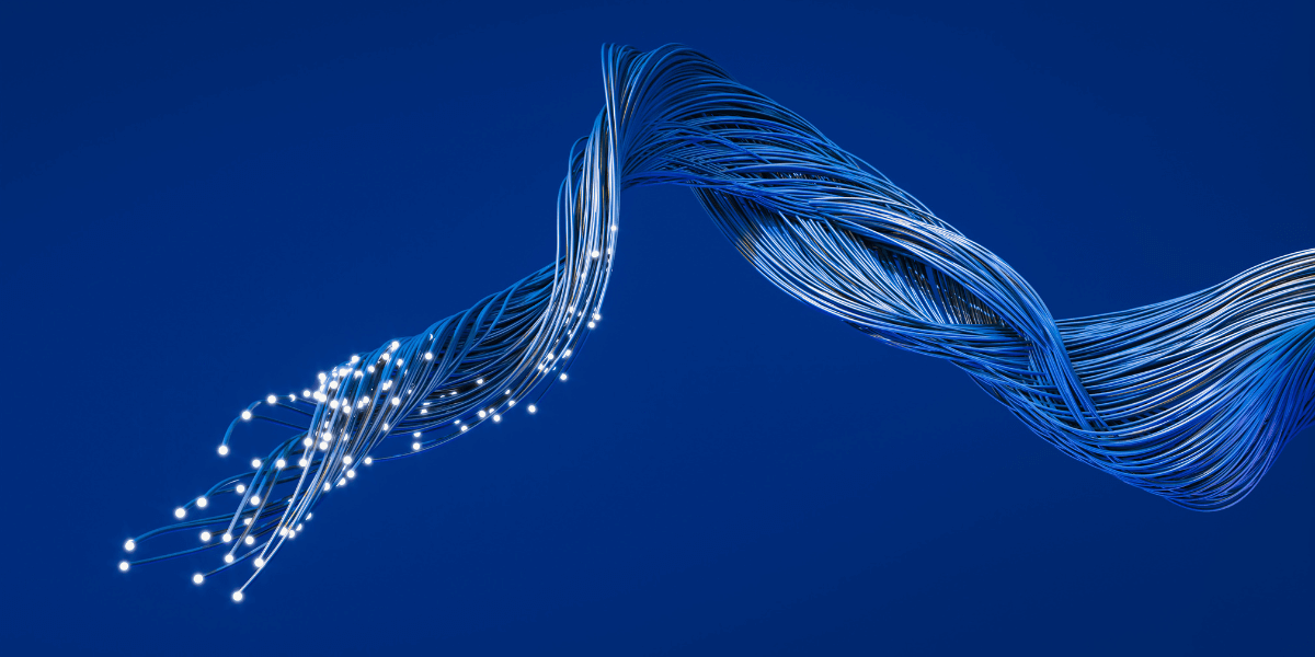 fibers