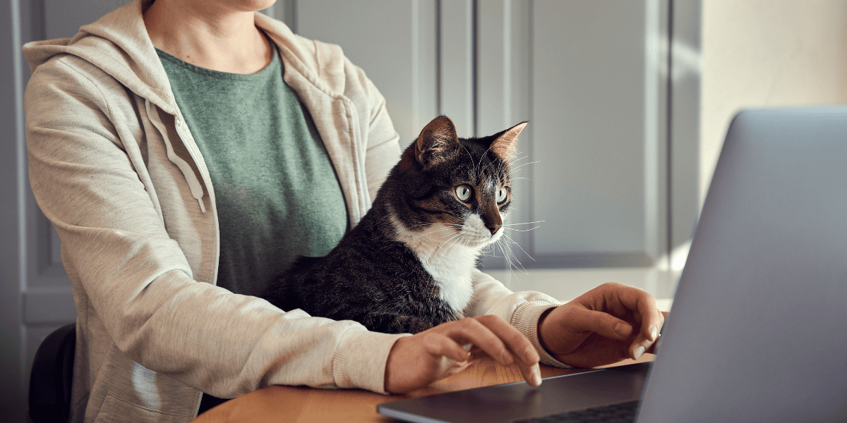 woman and her cat while she works from home