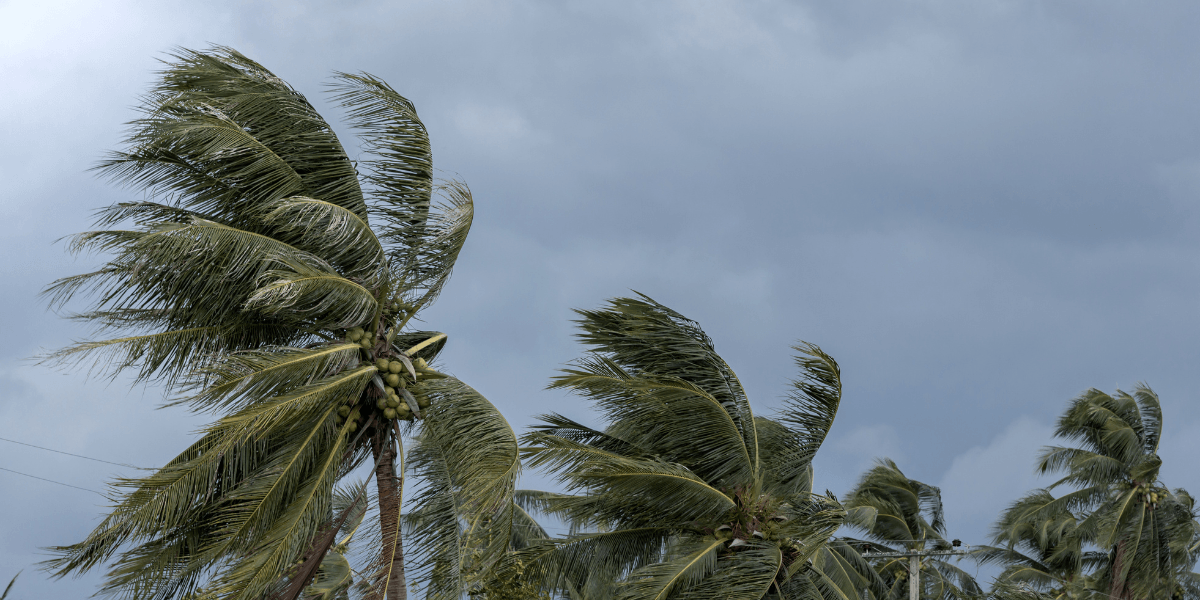 hurricane storm