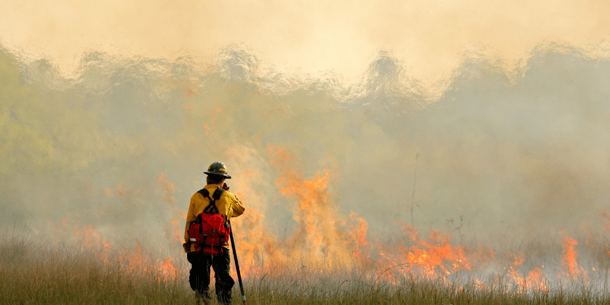 firefighter facing a wildfire